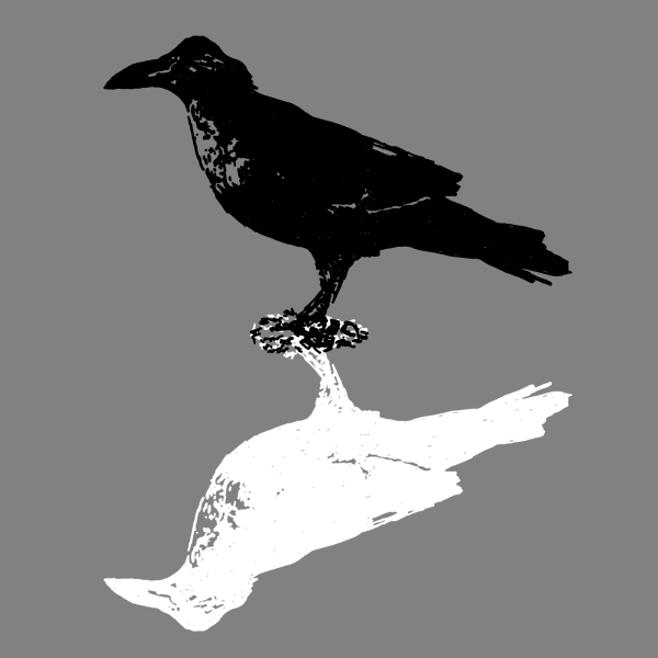 Edgar Allan Poe "The Raven" Poetry T-shirt